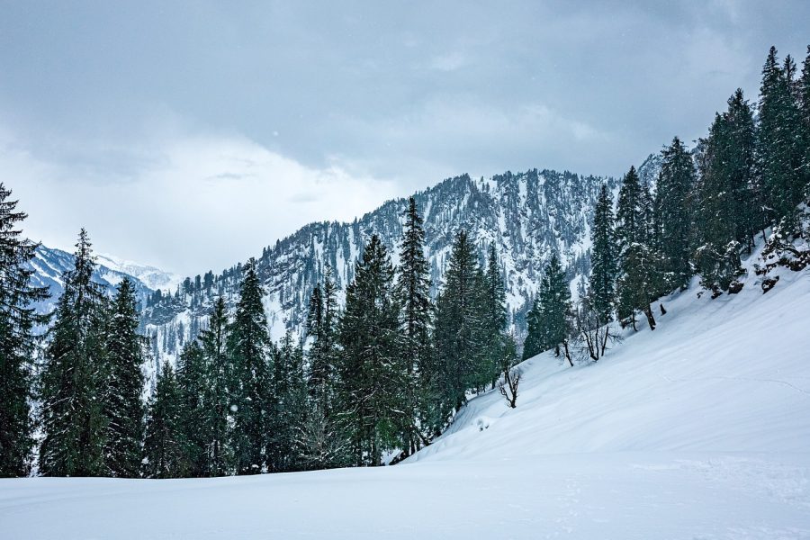 Shimla and Manali Winter Holiday