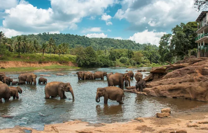 SHORT BREAK IN SRILANKA